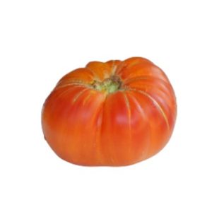 placero tomato