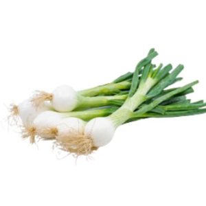 Buy Spring Onion in Lahore, Karachi, Islamabad and Pakistan.