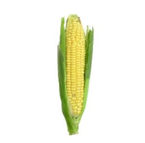 Buy Sweet Corn in Lahore, Karachi, Islamabad and Pakistan.