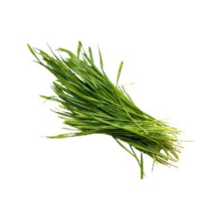 Buy Wheat Grass in Lahore, Karachi, Islamabad and Pakistan.