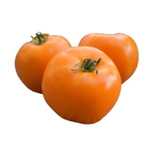 buy premium tomato in lahore islamabad karachi pakistan